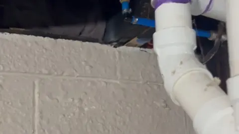 Damaged pipe repair with insulation and exposed wall access for Frozen Pipe Prevention for Castle Rock Homeowners